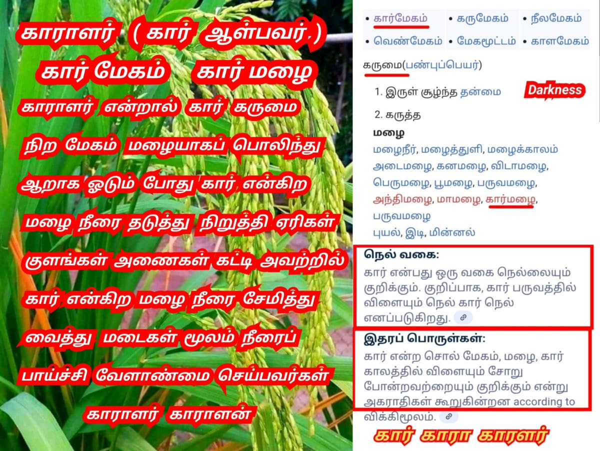 Part 16 Kara Karalar Ay Chola Cholar Pallar Mallar World | பாகம் 16 காரா காராளர் ஆயி சோழ சோழர் பள்ளர் மள்ளர்