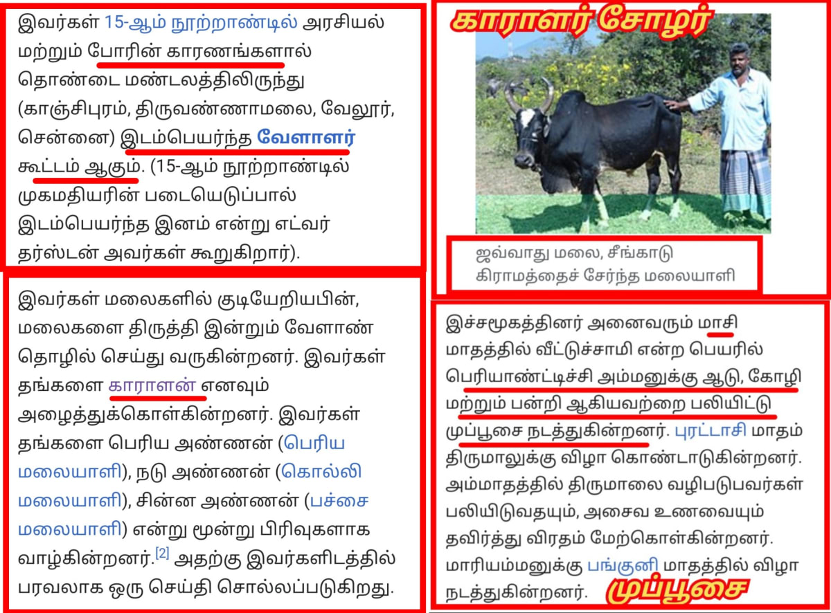 Part 16 Kara Karalar Ay Chola Cholar Pallar Mallar World | பாகம் 16 காரா காராளர் ஆயி சோழ சோழர் பள்ளர் மள்ளர்