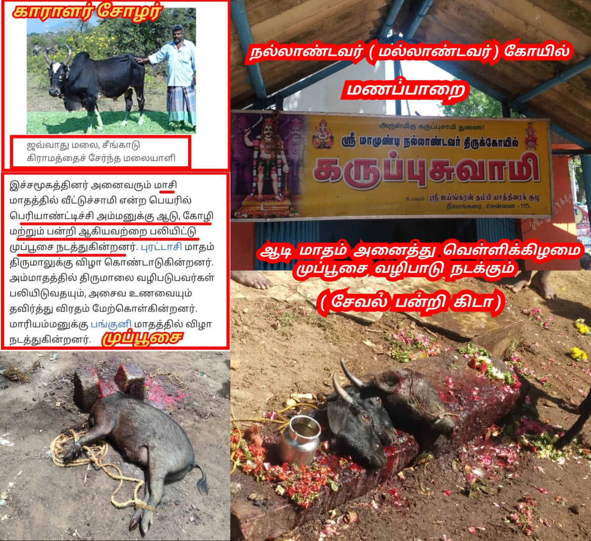 Part 16 Kara Karalar Ay Chola Cholar Pallar Mallar World | பாகம் 16 காரா காராளர் ஆயி சோழ சோழர் பள்ளர் மள்ளர்
