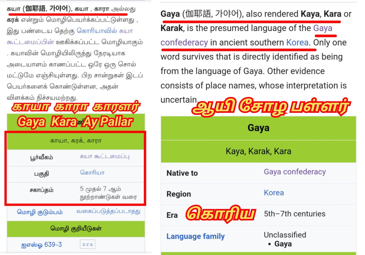 Part 16 Kara Karalar Ay Chola Cholar Pallar Mallar World | பாகம் 16 காரா காராளர் ஆயி சோழ சோழர் பள்ளர் மள்ளர்