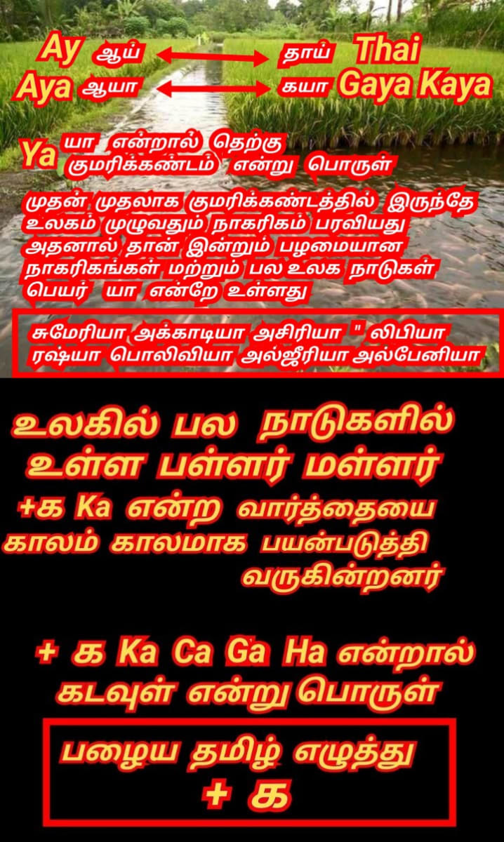 Part 17 Kaya Gaya Chola Cholar Pallar Mallar World | கயா கயன் சோழ சோழர் பள்ளர் மள்ளர் உலகம்