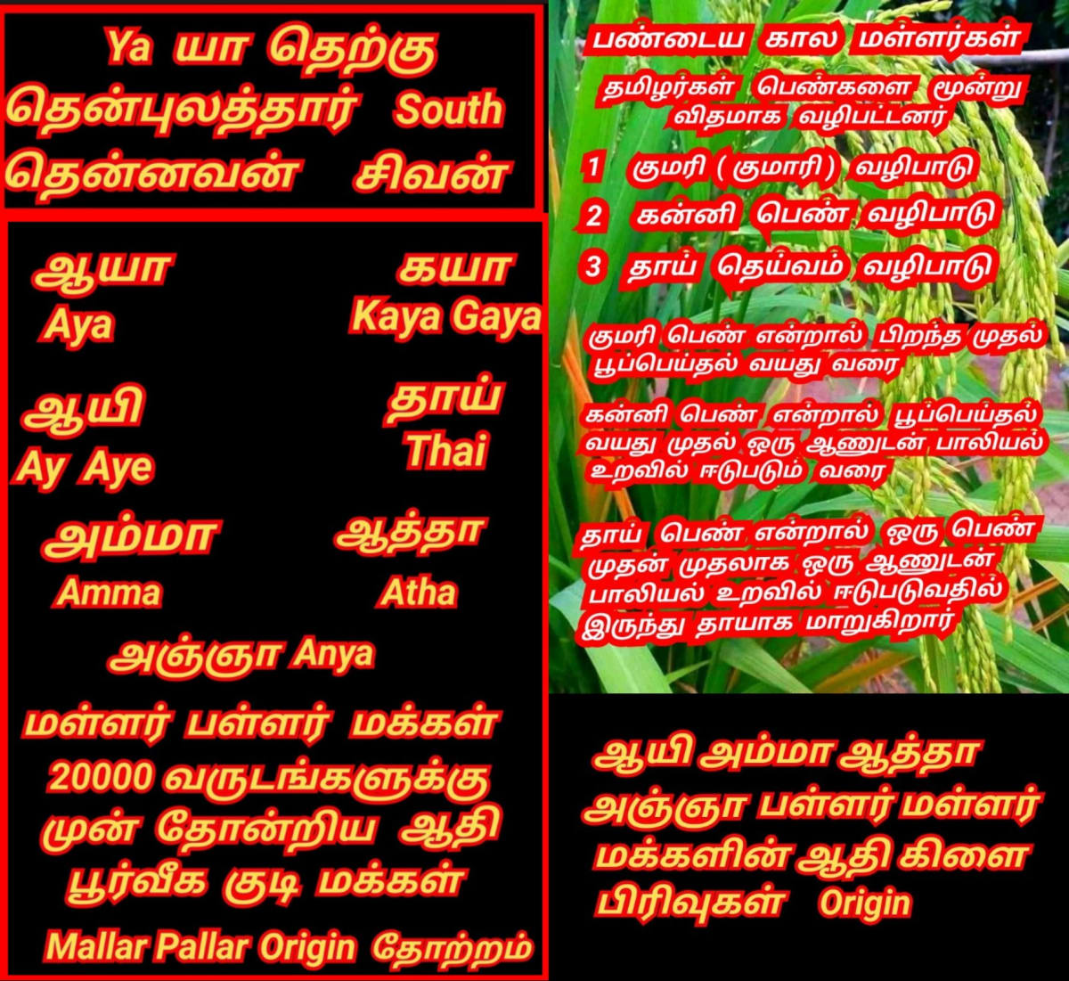Part 17 Kaya Gaya Chola Cholar Pallar Mallar World | கயா கயன் சோழ சோழர் பள்ளர் மள்ளர் உலகம்