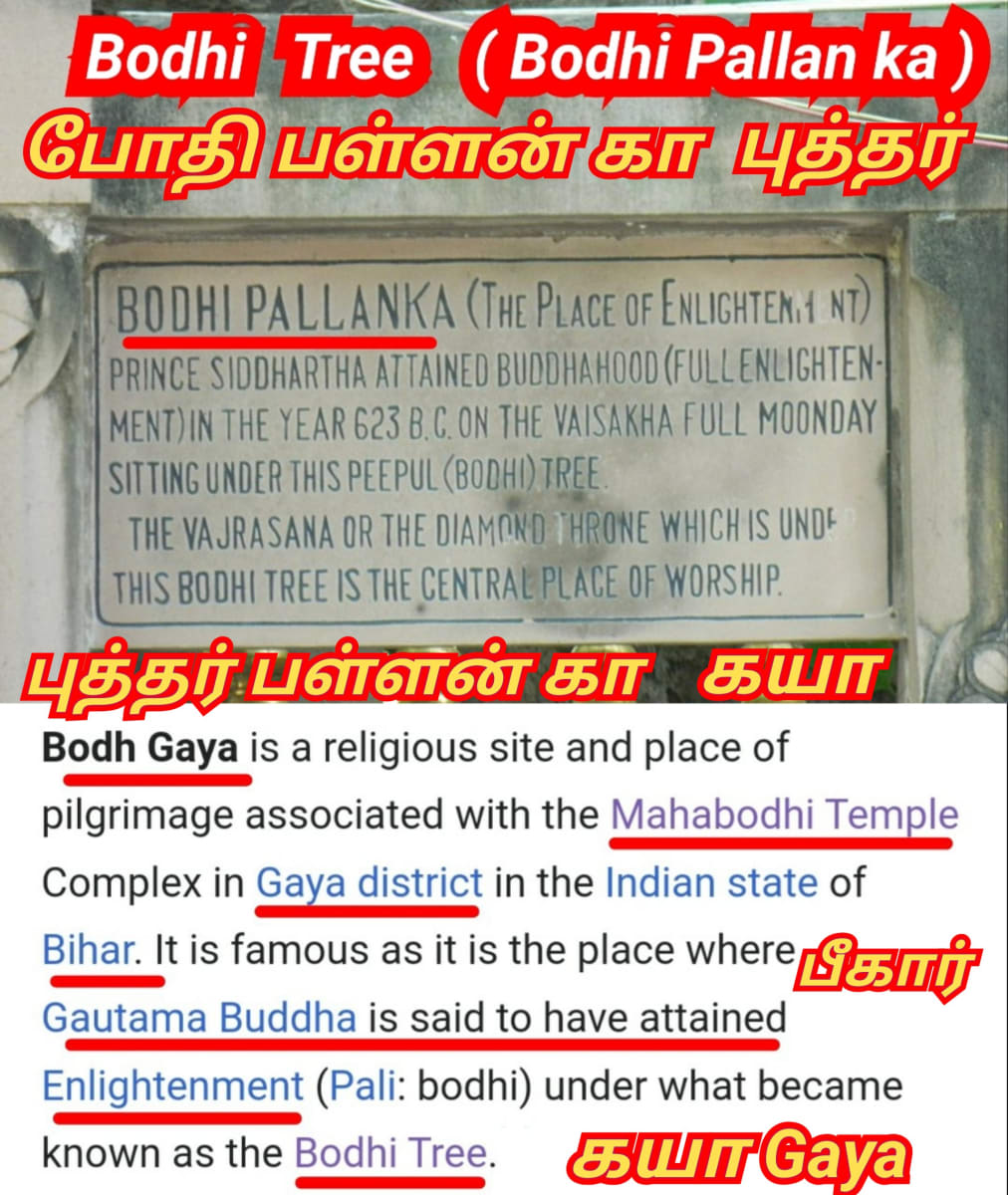 Part 17 Kaya Gaya Chola Cholar Pallar Mallar World | கயா கயன் சோழ சோழர் பள்ளர் மள்ளர் உலகம்