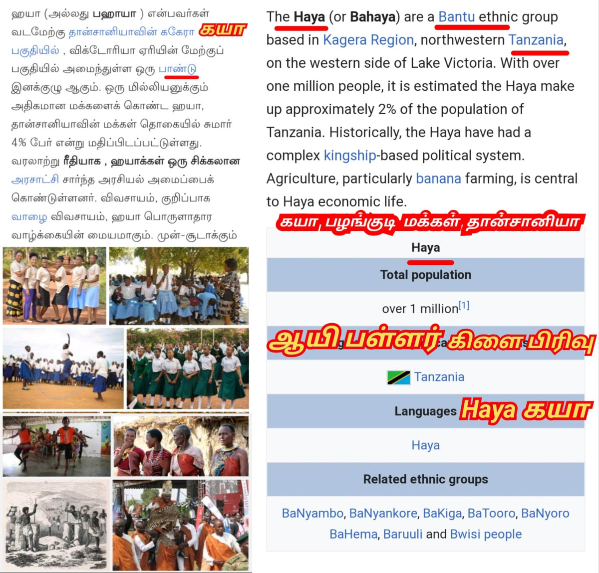 Part 17 Kaya Gaya Chola Cholar Pallar Mallar World | கயா கயன் சோழ சோழர் பள்ளர் மள்ளர் உலகம்
