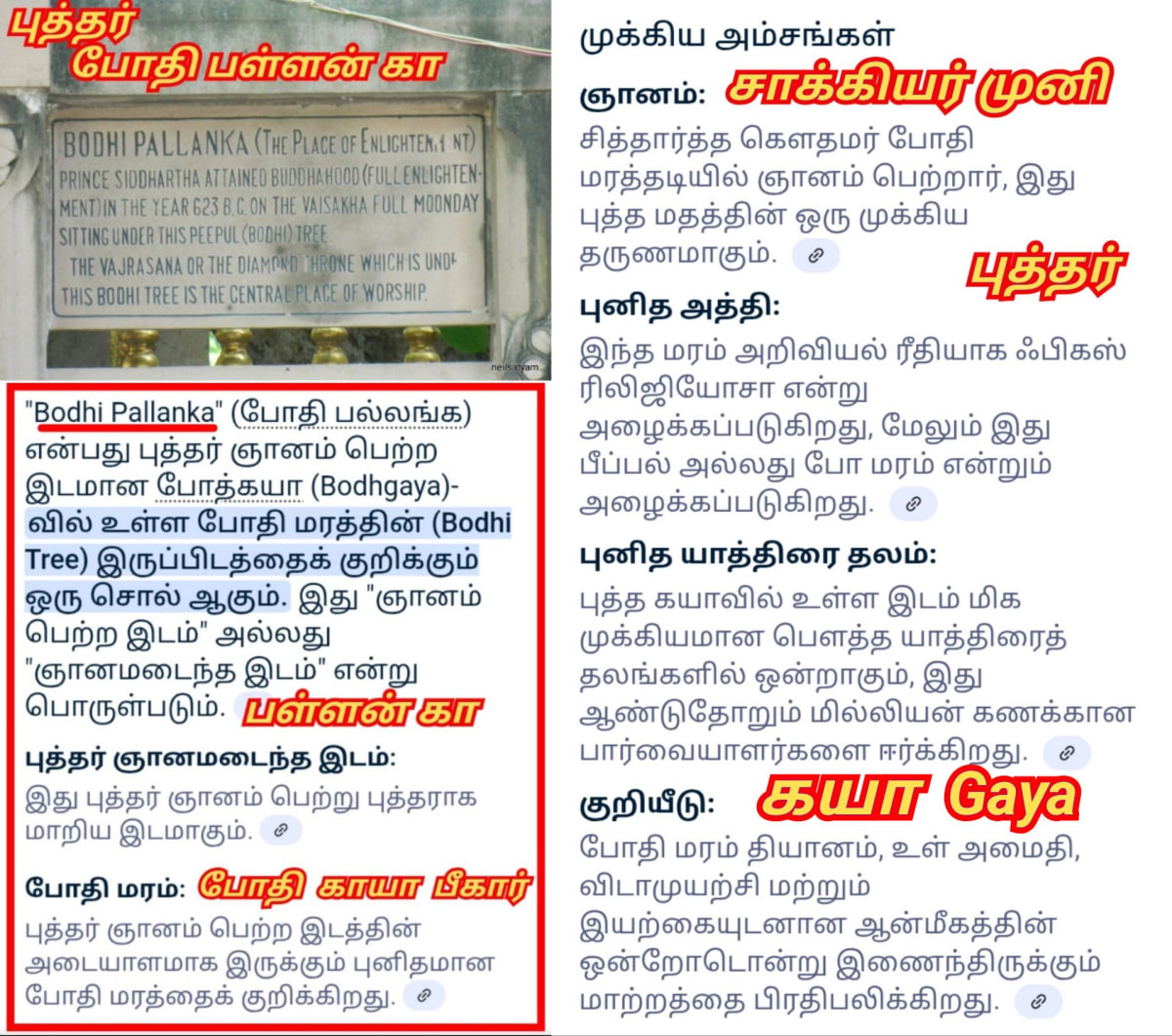 Part 17 Kaya Gaya Chola Cholar Pallar Mallar World | கயா கயன் சோழ சோழர் பள்ளர் மள்ளர் உலகம்