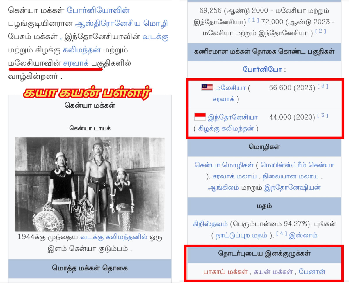 Part 17 Kaya Gaya Chola Cholar Pallar Mallar World | கயா கயன் சோழ சோழர் பள்ளர் மள்ளர் உலகம்