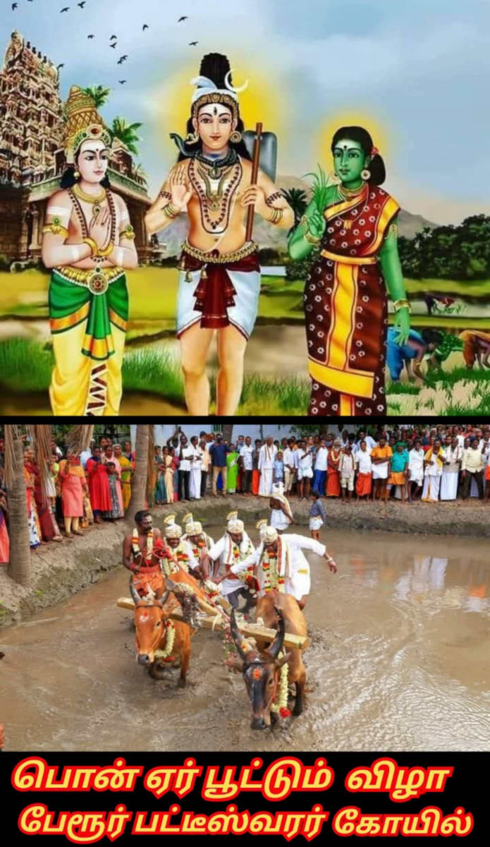 Part 19  Pannadi Mannadi Ay Chola Cholar Pallar Mallar | பாகம் 19 பண்ணாடி மண்ணாடி சோழ சோழர் பள்ளர் மள்ளர்