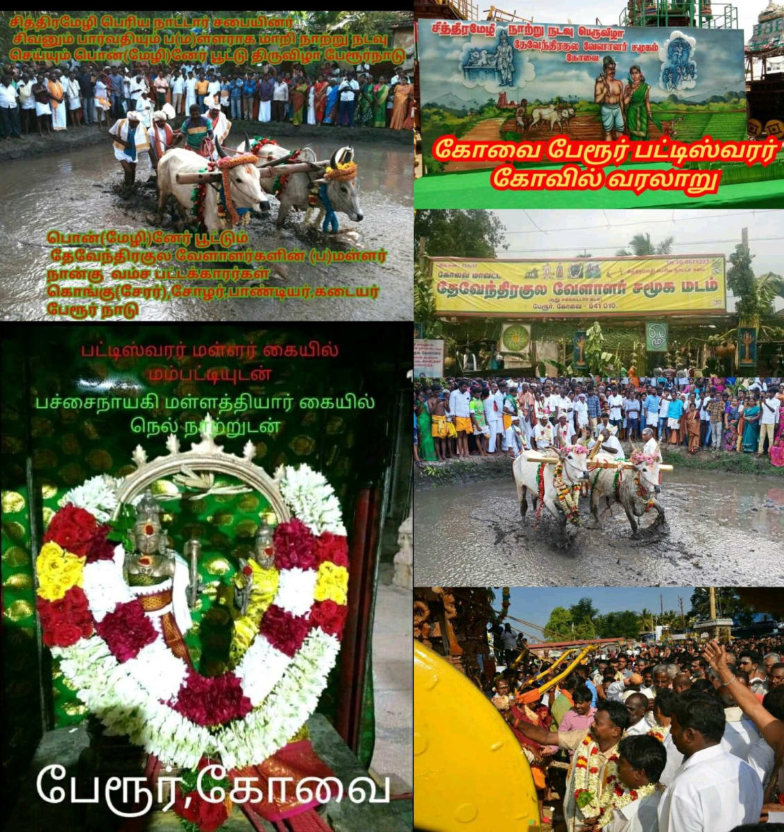 Part 19  Pannadi Mannadi Ay Chola Cholar Pallar Mallar | பாகம் 19 பண்ணாடி மண்ணாடி சோழ சோழர் பள்ளர் மள்ளர்