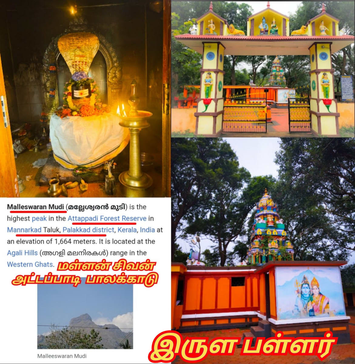 Part  21  Irular Chola Cholar Pallar Mallar | பாகம் 21 இருளர் சோழர் சோழர்கள் பள்ளர் மள்ளர்