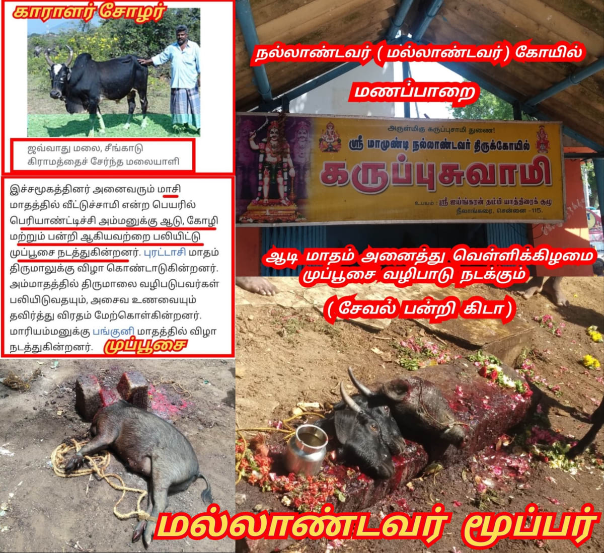 Part 22  Mallandavar Temple Chola Cholar Pallar Mallar | பாகம் 22 மல்லாண்டவர் சோழ சோழர் பள்ளர் மள்ளர்