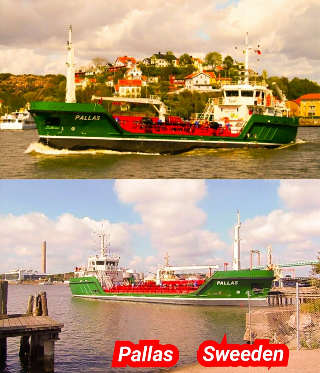 Ship kappal Pallar Mallar World | பள்ளர் மள்ளர் பெயரில் உலகம் முழுவதும் ஓடும் கப்பல்கள்