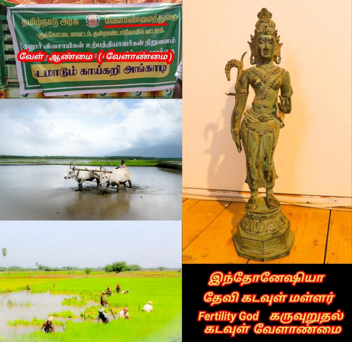 Ponner Royal Ploughing Ceremony Pallar Mallar World | பொன்னேர் பூட்டுதல் ஏர் மங்கலம் பள்ளர் மள்ளர்