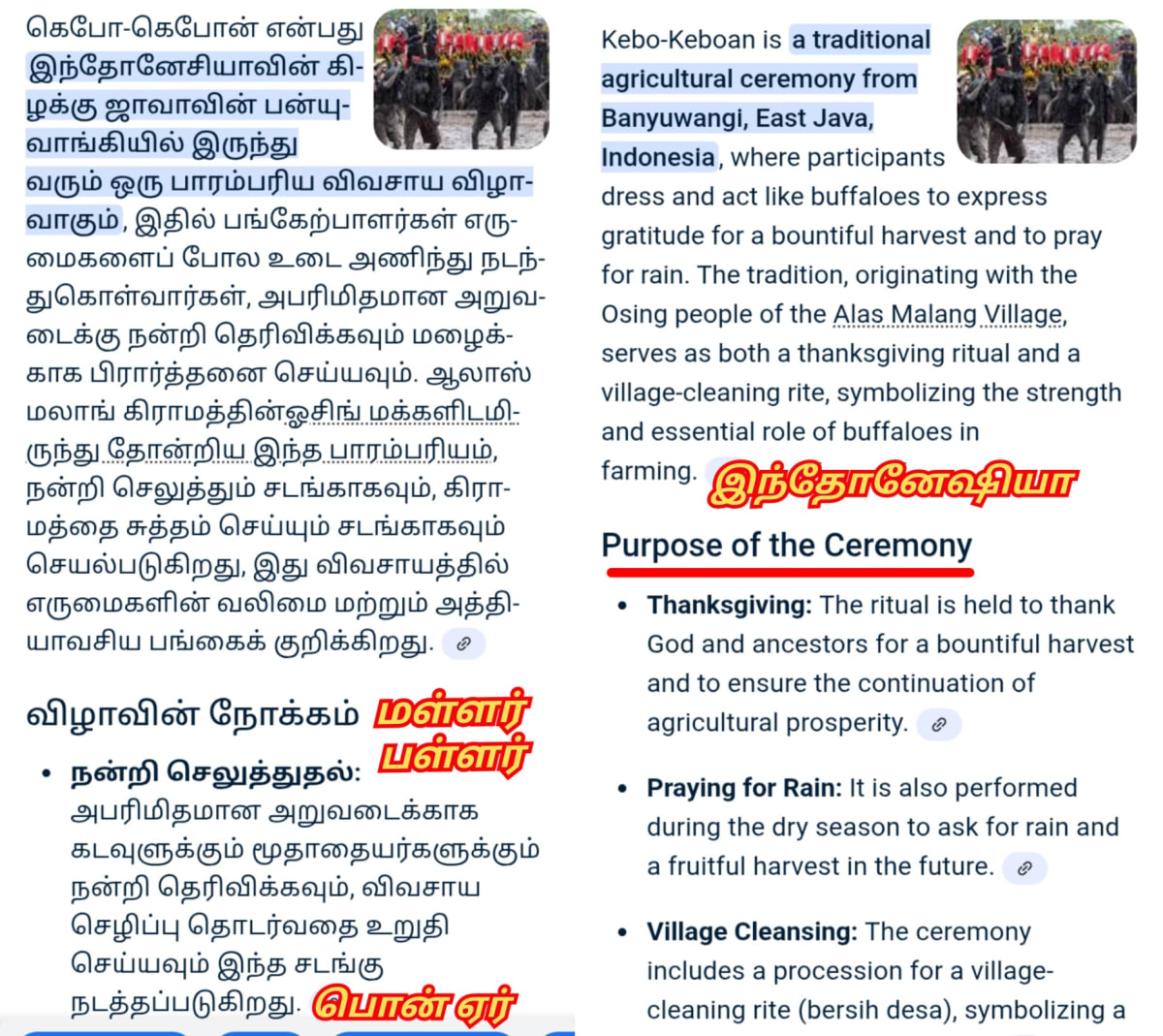 Ponner Royal Ploughing Ceremony Pallar Mallar World | பொன்னேர் பூட்டுதல் ஏர் மங்கலம் பள்ளர் மள்ளர்