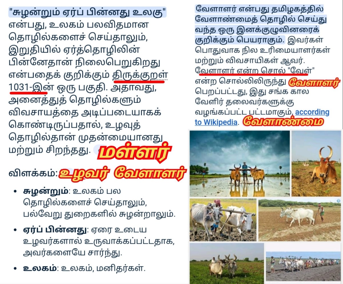 Ponner Royal Ploughing Ceremony Pallar Mallar World | பொன்னேர் பூட்டுதல் ஏர் மங்கலம் பள்ளர் மள்ளர்