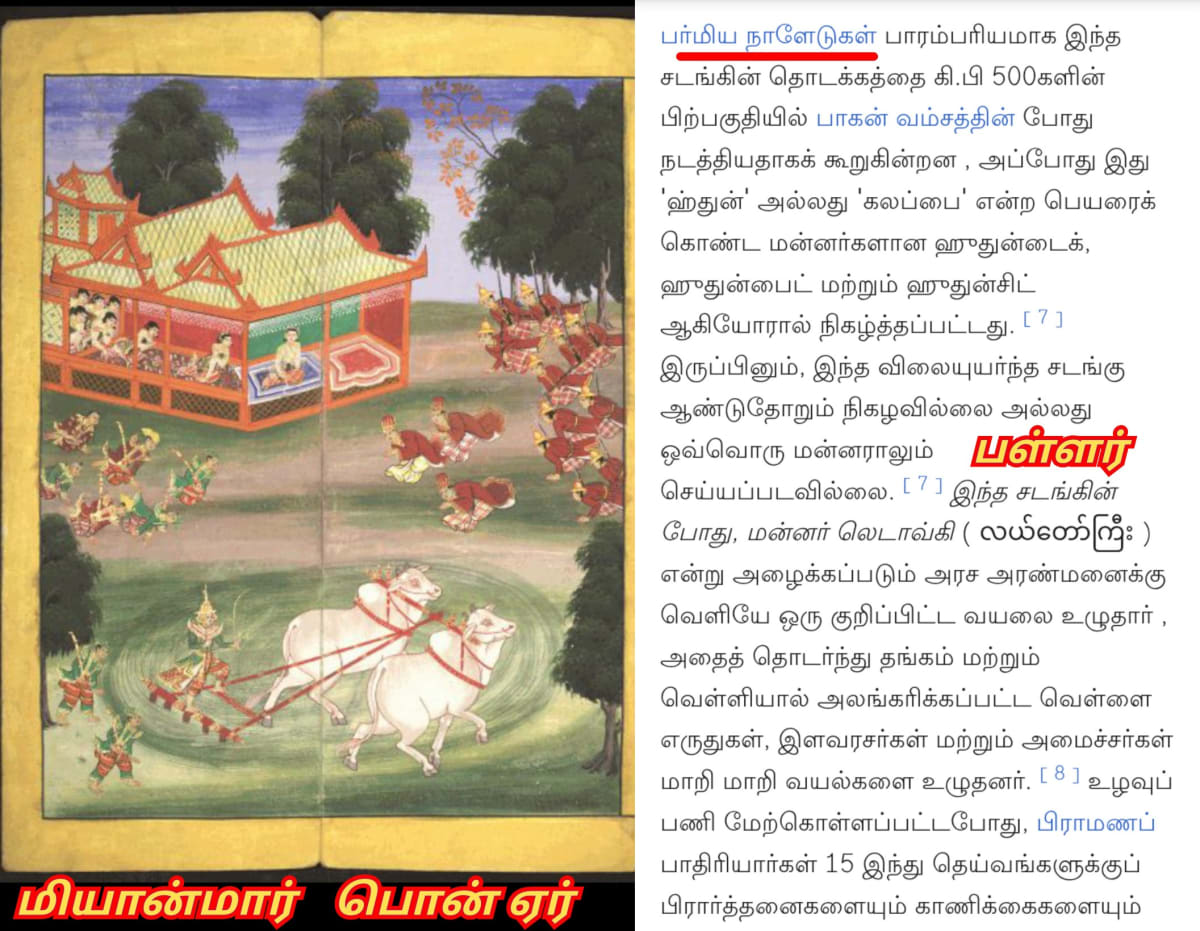 Ponner Royal Ploughing Ceremony Pallar Mallar World | பொன்னேர் பூட்டுதல் ஏர் மங்கலம் பள்ளர் மள்ளர்
