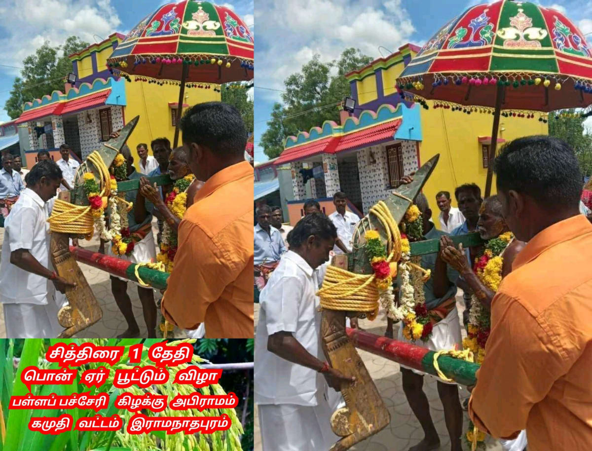 Ponner Royal Ploughing Ceremony Pallar Mallar World | பொன்னேர் பூட்டுதல் ஏர் மங்கலம் பள்ளர் மள்ளர்