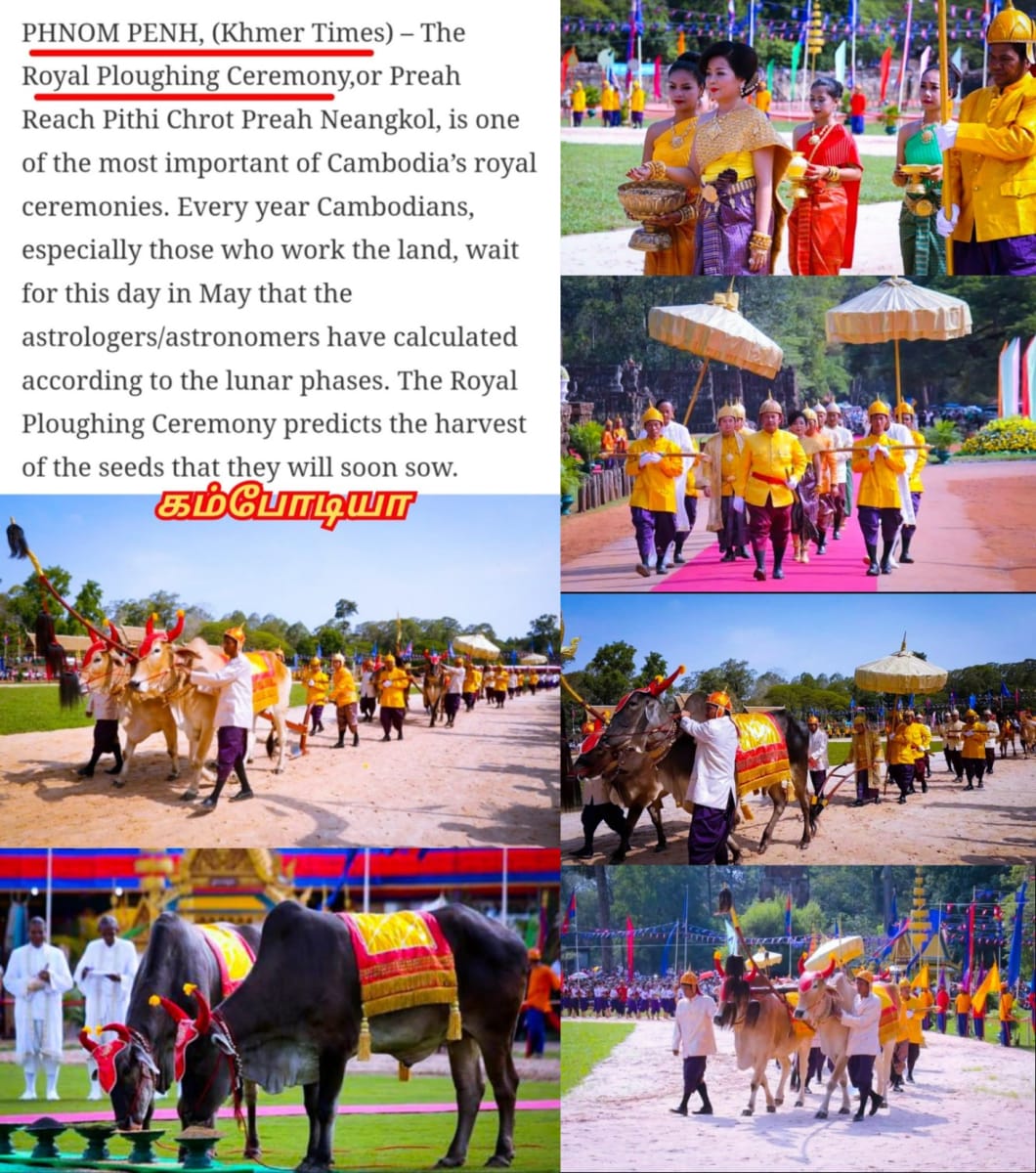 Ponner Royal Ploughing Ceremony Pallar Mallar World | பொன்னேர் பூட்டுதல் ஏர் மங்கலம் பள்ளர் மள்ளர்