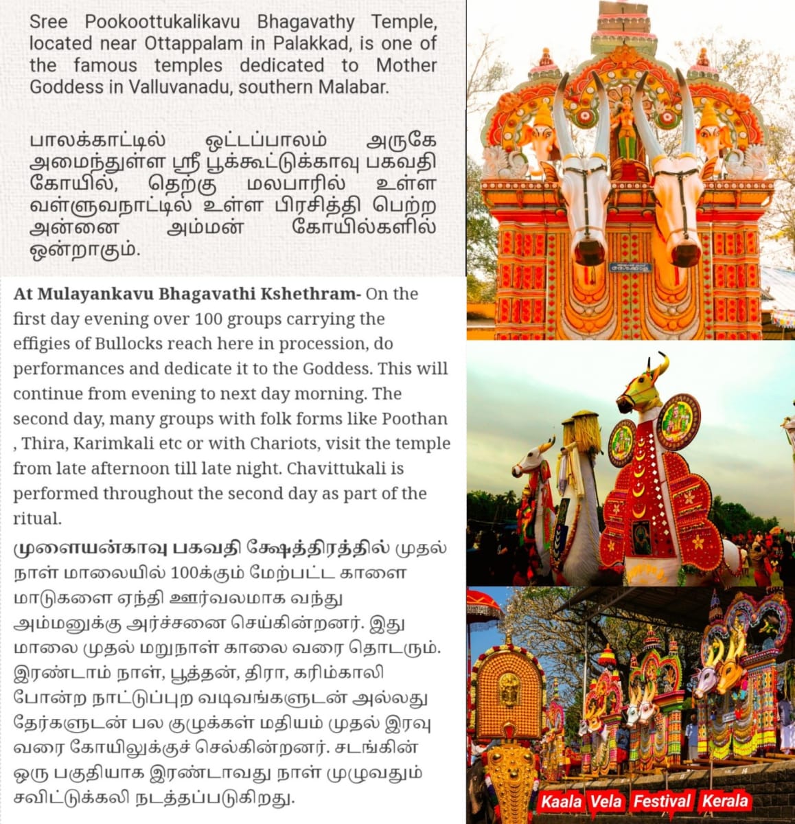 Kerala Pallar Mallar Moopan Ay Warrier Mannadi | கேரளா பள்ளர் மள்ளர் ஆயி மூப்பர் மூப்பன் வாரியர் மண்ணாடி