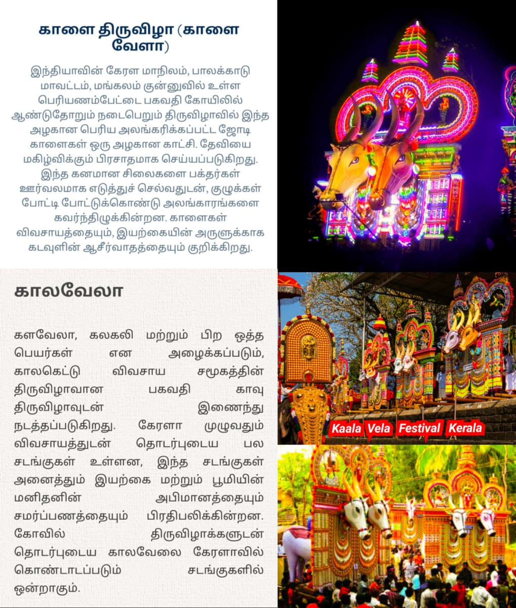 Kerala Pallar Mallar Moopan Ay Warrier Mannadi | கேரளா பள்ளர் மள்ளர் ஆயி மூப்பர் மூப்பன் வாரியர் மண்ணாடி