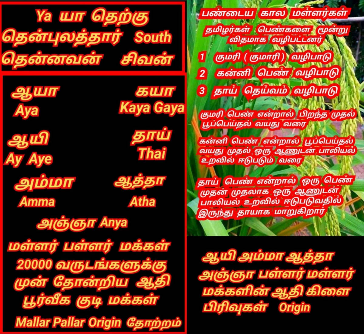 Australia Pallar Mallar Ay Aya Amma Atha Anya | ஆஸ்திரேலியா பள்ளர் மள்ளர் ஆயி ஆயா அம்மா ஆத்தா அஞ்ஞா