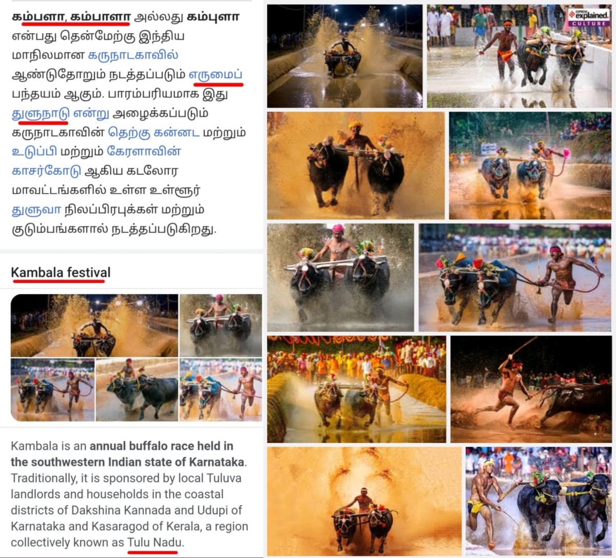 Karnataka Pallar Mallar Shetty Pandian Pandiyar | கர்நாடக மள்ளர் பள்ளர் பாண்டியர் செட்டி பாண்டியன்