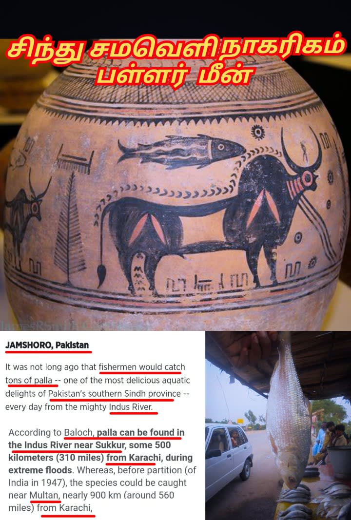 Pakistan Pallar Mallar Kaladi Ancient Tamil People | பாகிஸ்தான் நாட்டில் வாழும் பள்ளர் மள்ளர் காலடி