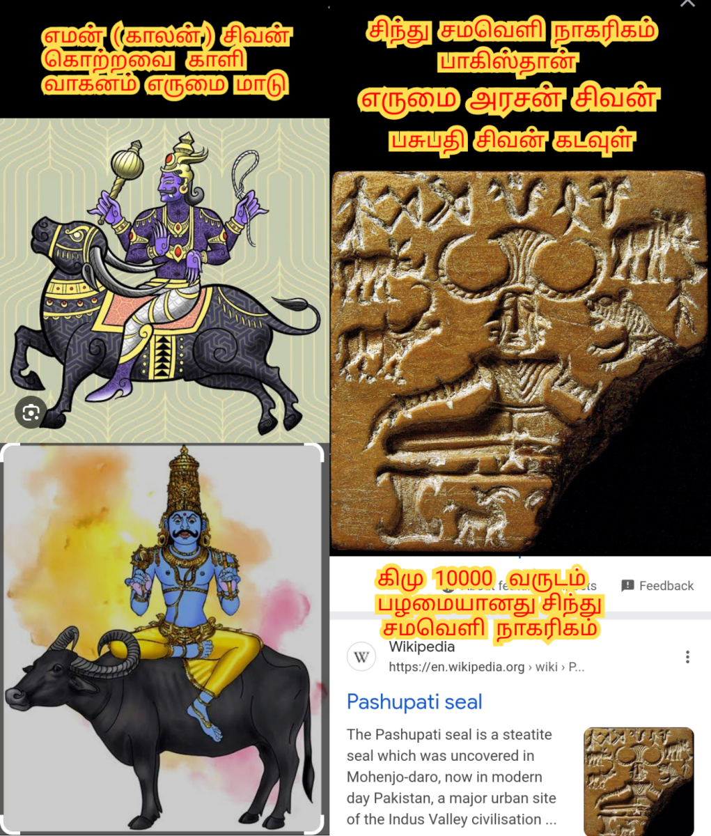 Pakistan Indusvalley Civilization Pallar Mallar Ancient Tamil | சிந்து சமவெளி நாகரிகம் பாகிஸ்தான் பள்ளர் மள்ளர்