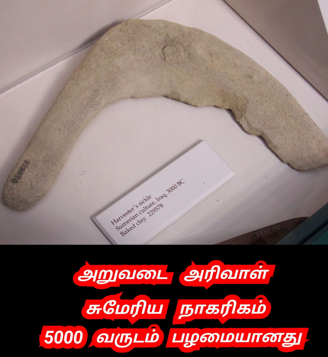 Sumeria Civilization Mesopotamia Pallar Mallar Iraq Iran Syria | சுமேரியா அசிரியா பாபிலோன் ஈராக் ஈரான் சிரியா நாகரிகம் பள்ளர் மள்ளர் மெசபடோமியா