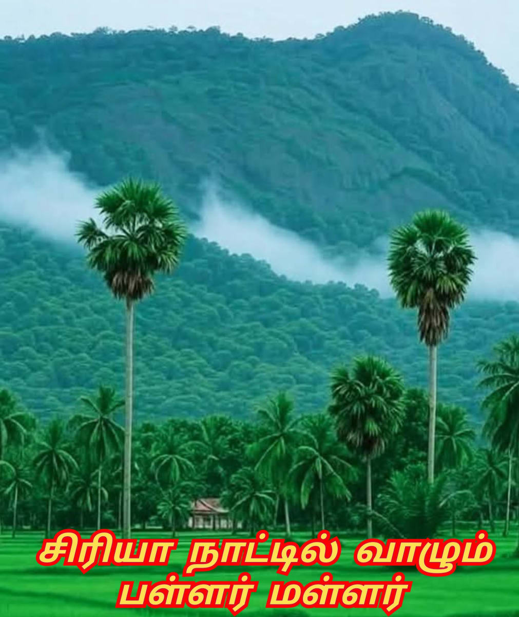 Sumeria Civilization Mesopotamia Pallar Mallar Iraq Iran Syria | சுமேரியா அசிரியா பாபிலோன் ஈராக் ஈரான் சிரியா நாகரிகம் பள்ளர் மள்ளர் மெசபடோமியா
