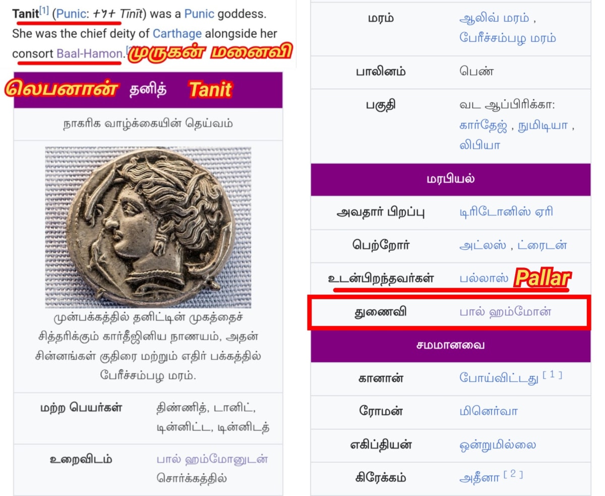 Lebanon Pallar Mallar Phoenician Tamil | லெபனான் பள்ளர் மள்ளர் பொனிசியர்