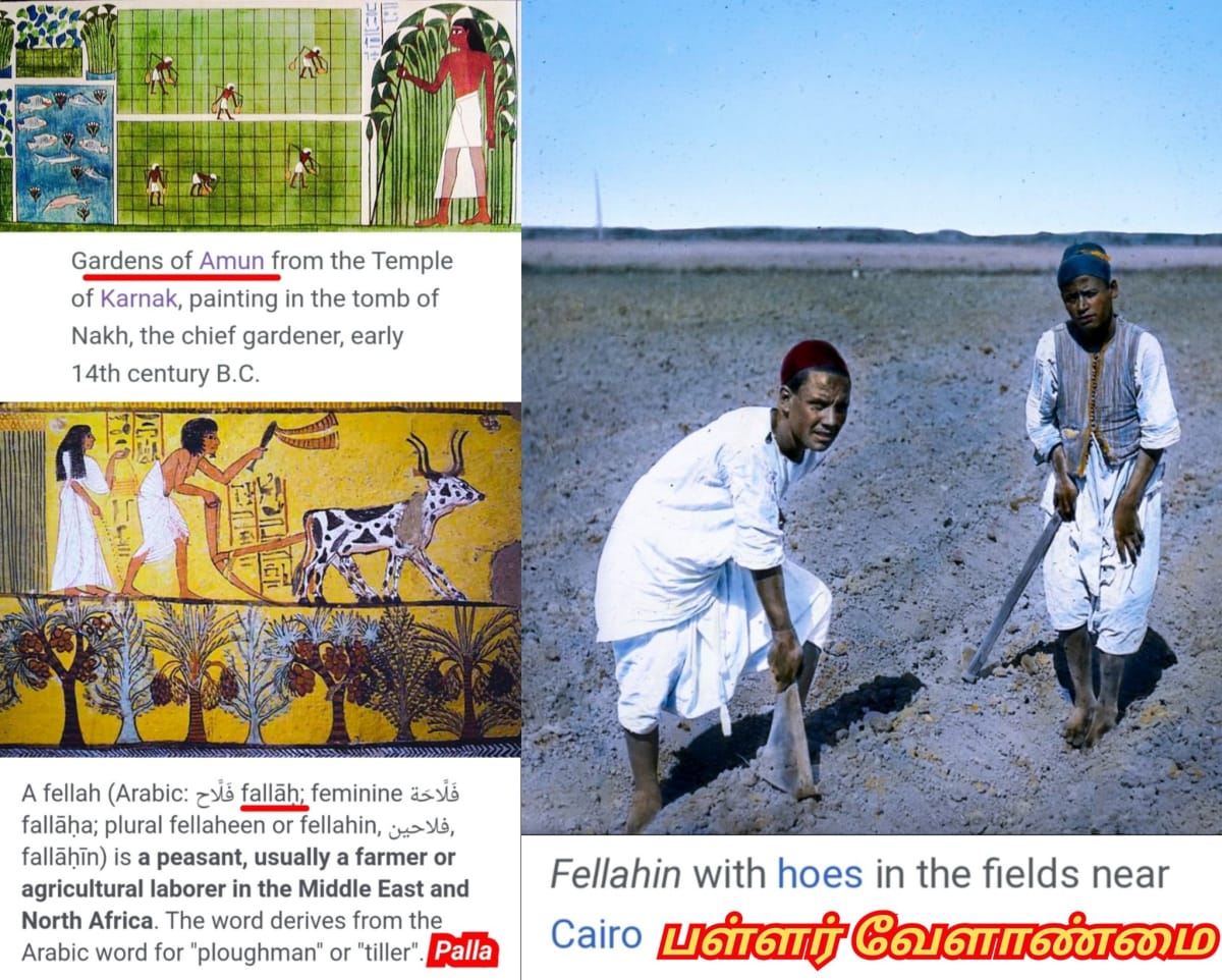 Egypt Pallar Mallar Siwan Shivan Isan Esan | எகிப்து நாகரிகம் பள்ளர் மள்ளர் சிவன் ஈசன்