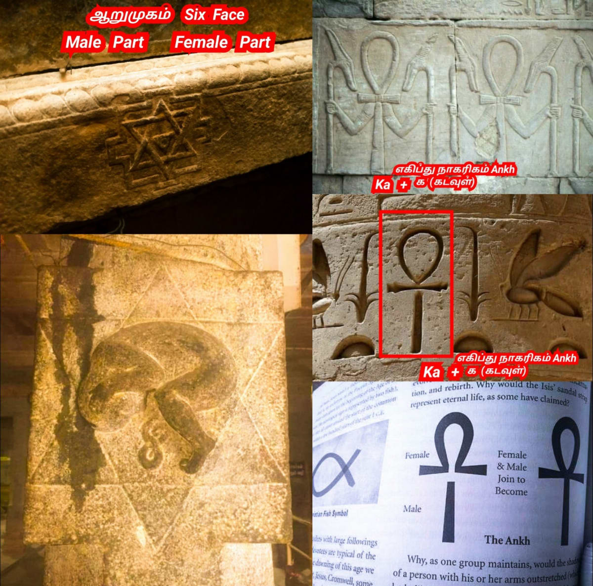 Egypt King's Pallar Mallar Kingdom Ancient Tamil | எகிப்து நாட்டை ஆண்ட கடவுள் பள்ளர் மள்ளர்