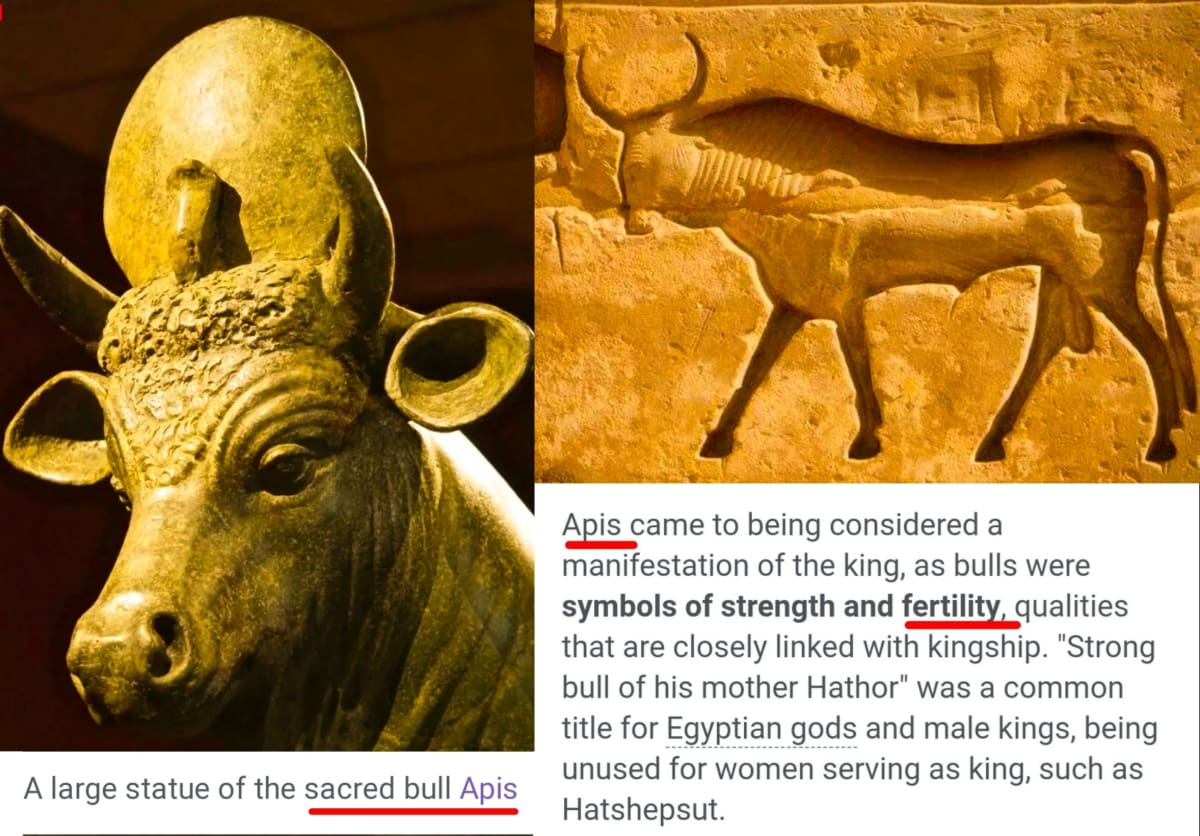 Egypt King's Pallar Mallar Kingdom Ancient Tamil | எகிப்து நாட்டை ஆண்ட கடவுள் பள்ளர் மள்ளர்