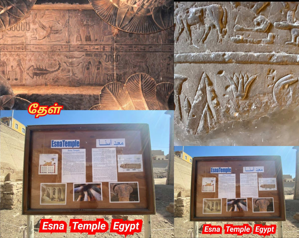 Egypt King's Pallar Mallar Kingdom Ancient Tamil | எகிப்து நாட்டை ஆண்ட கடவுள் பள்ளர் மள்ளர்
