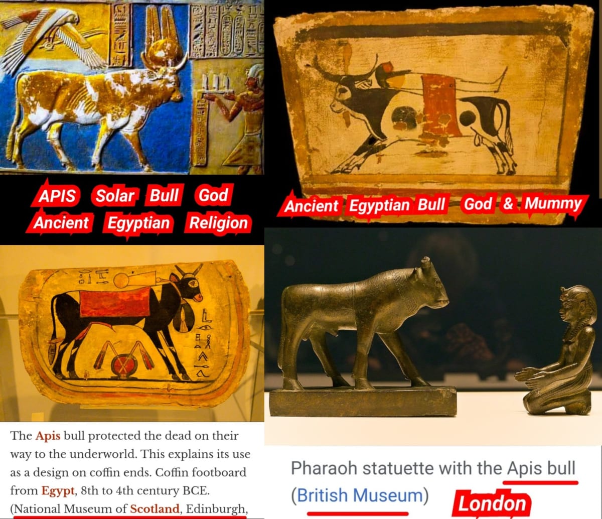 Egypt King's Pallar Mallar Kingdom Ancient Tamil | எகிப்து நாட்டை ஆண்ட கடவுள் பள்ளர் மள்ளர்