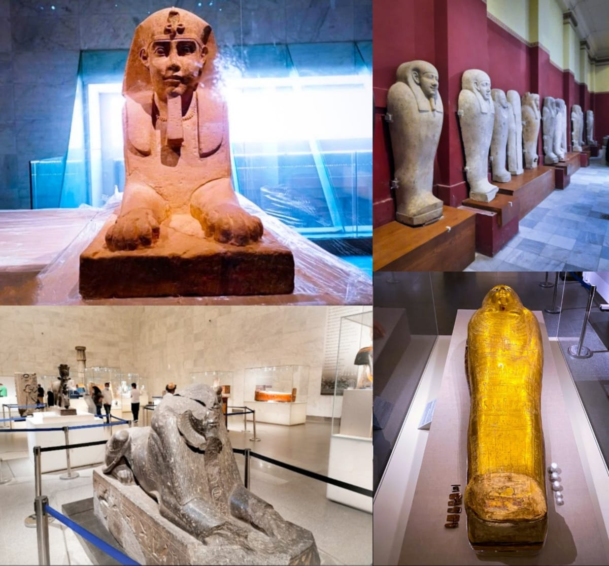 Egypt King's Pallar Mallar Kingdom Ancient Tamil | எகிப்து நாட்டை ஆண்ட கடவுள் பள்ளர் மள்ளர்