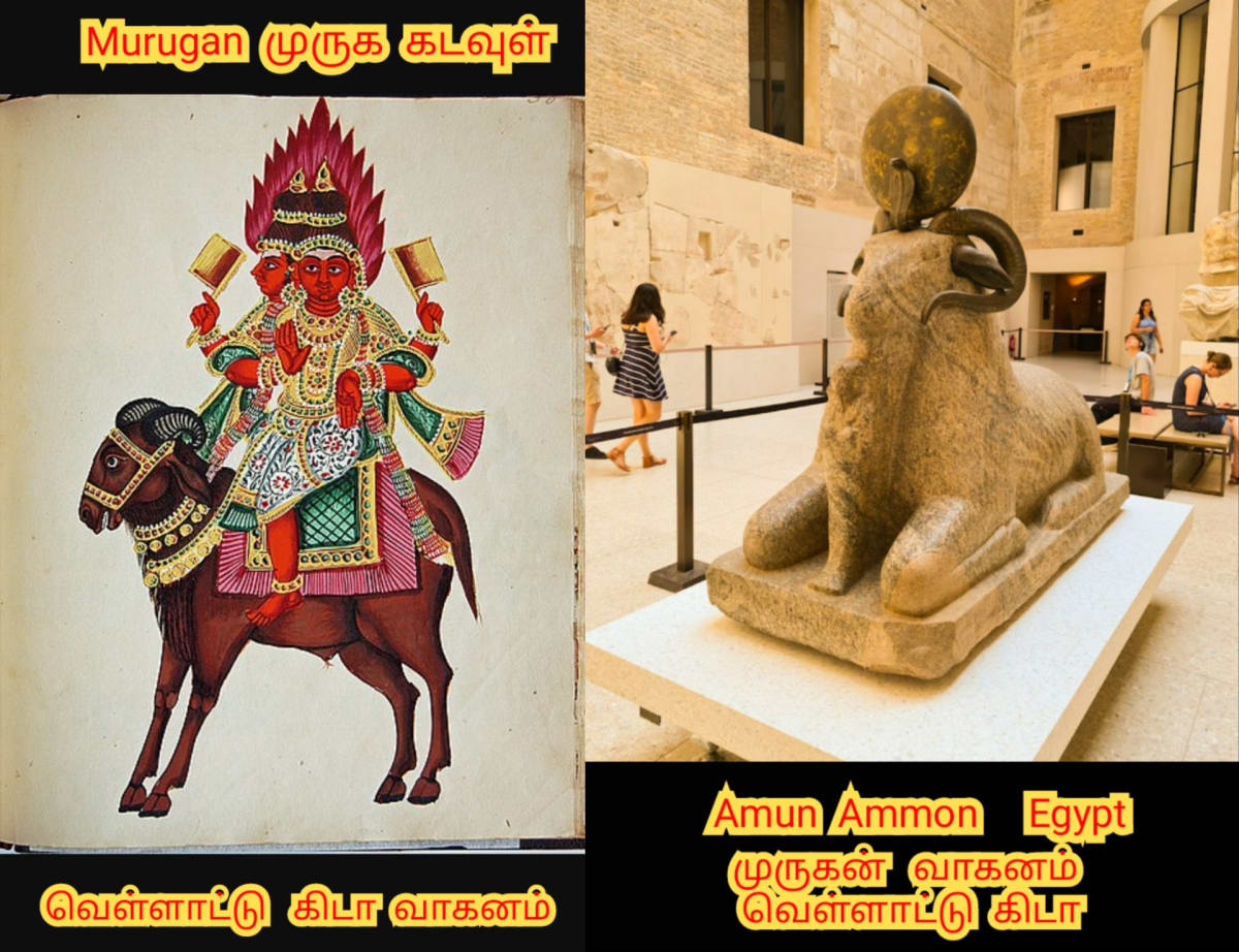 Egypt Murugan God Horus Amun Ra Pallar Mallar Ancient Tamil | எகிப்து நாகரிகம் முருகன் முருக கடவுள் பள்ளர் மள்ளர் ஹோரஸ் அமுன்