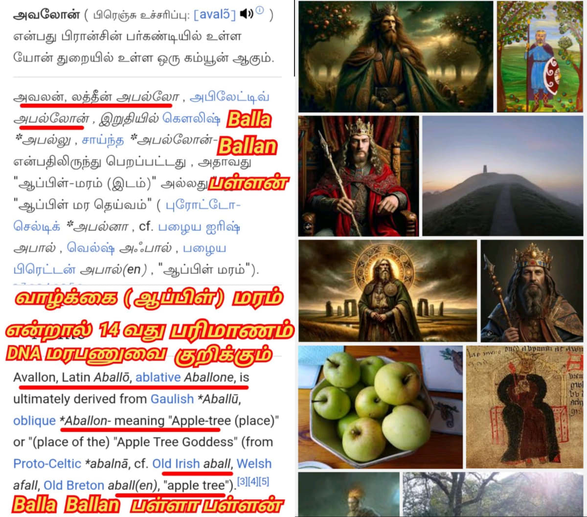 England Kingdom Pallar Mallar Tharani Murugan Tarani | இங்கிலாந்து நாட்டை ஆண்ட பள்ளர் மள்ளர் தரணி முருகன்