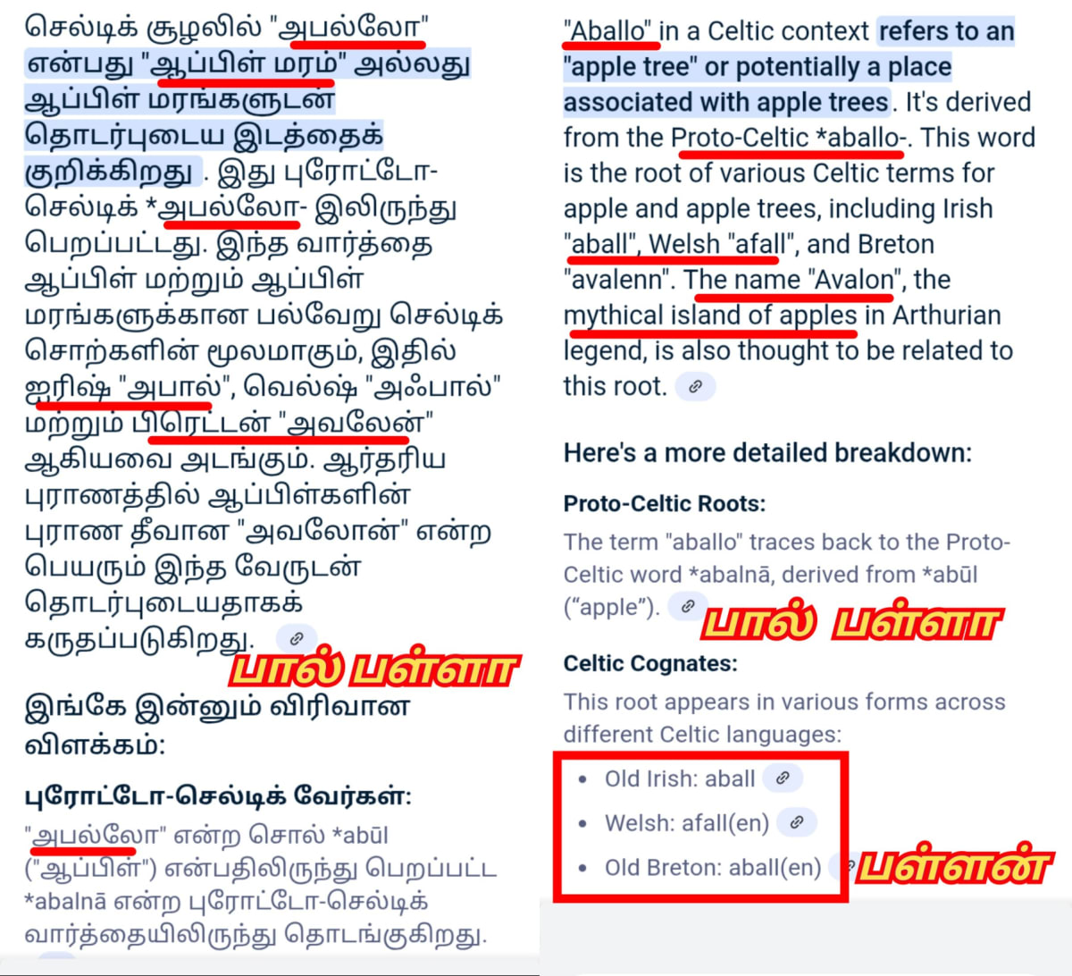 England Kingdom Pallar Mallar Tharani Murugan Tarani | இங்கிலாந்து நாட்டை ஆண்ட பள்ளர் மள்ளர் தரணி முருகன்