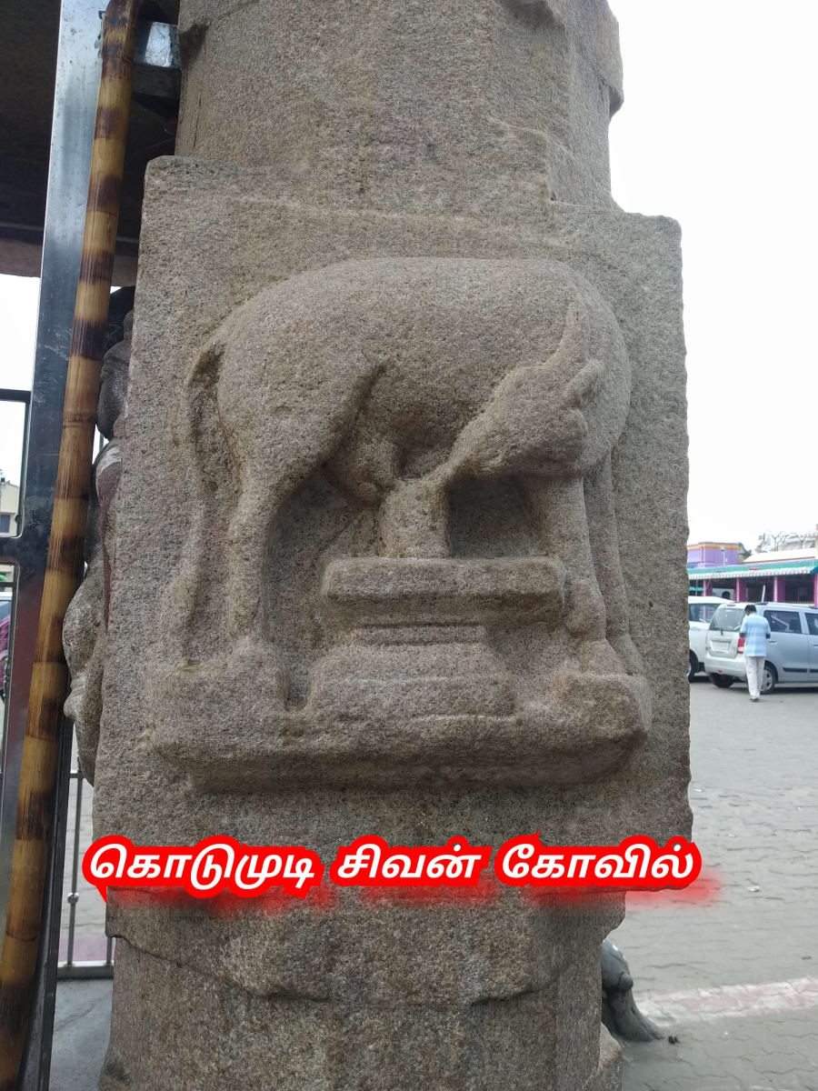Kamadhenu God Pallar Mallar Shivan Isan Esan Murugan | காமதேனு பசு சிவன் ஈசன் முருகன் கடவுள்கள் பள்ளர் மள்ளர்
