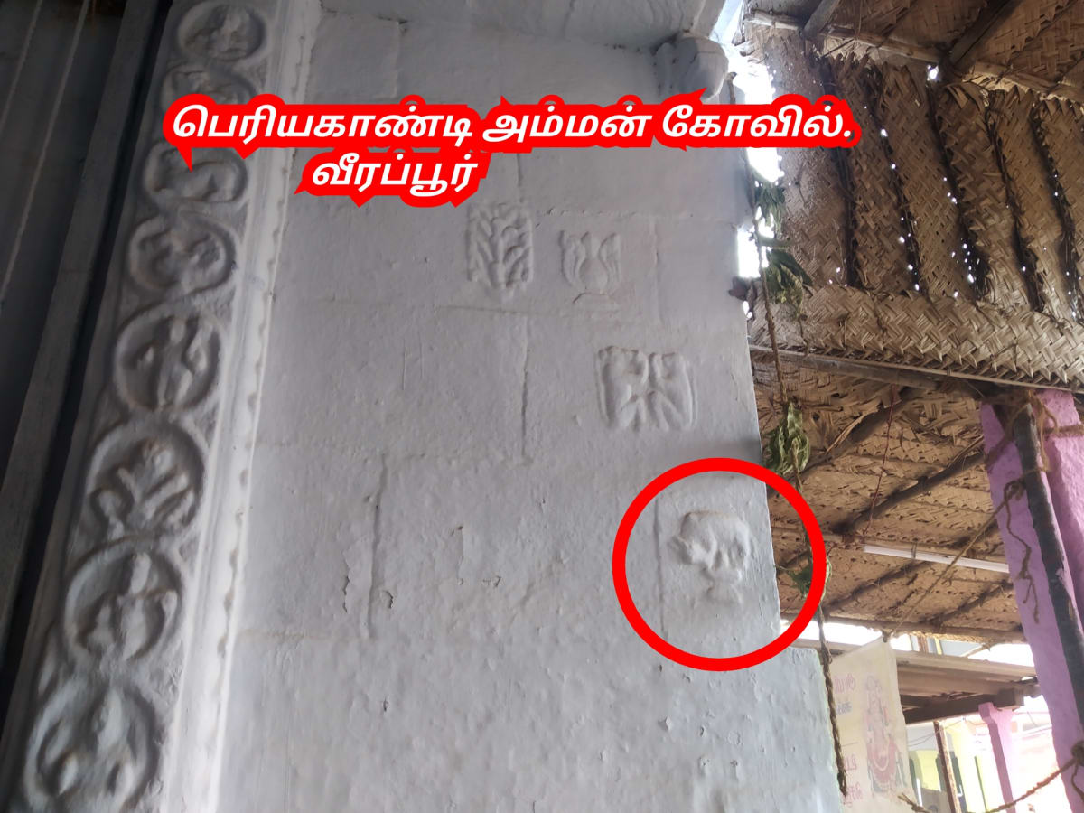 Kamadhenu God Pallar Mallar Shivan Isan Esan Murugan | காமதேனு பசு சிவன் ஈசன் முருகன் கடவுள்கள் பள்ளர் மள்ளர்