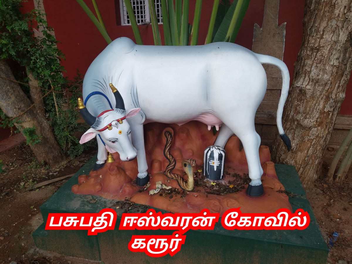 Kamadhenu God Pallar Mallar Shivan Isan Esan Murugan | காமதேனு பசு சிவன் ஈசன் முருகன் கடவுள்கள் பள்ளர் மள்ளர்
