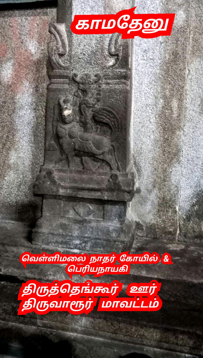 Kamadhenu God Pallar Mallar Shivan Isan Esan Murugan | காமதேனு பசு சிவன் ஈசன் முருகன் கடவுள்கள் பள்ளர் மள்ளர்