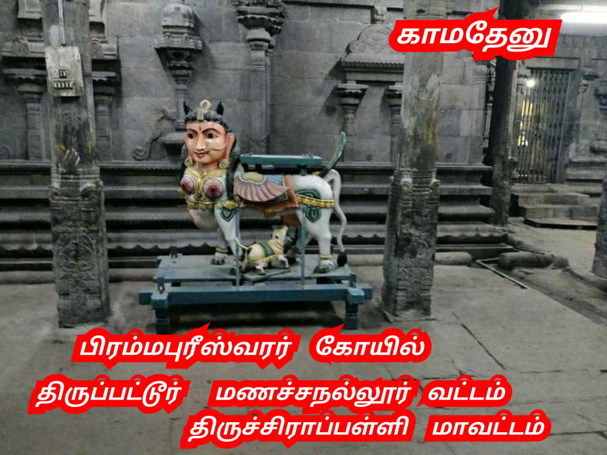 Kamadhenu God Pallar Mallar Shivan Isan Esan Murugan | காமதேனு பசு சிவன் ஈசன் முருகன் கடவுள்கள் பள்ளர் மள்ளர்
