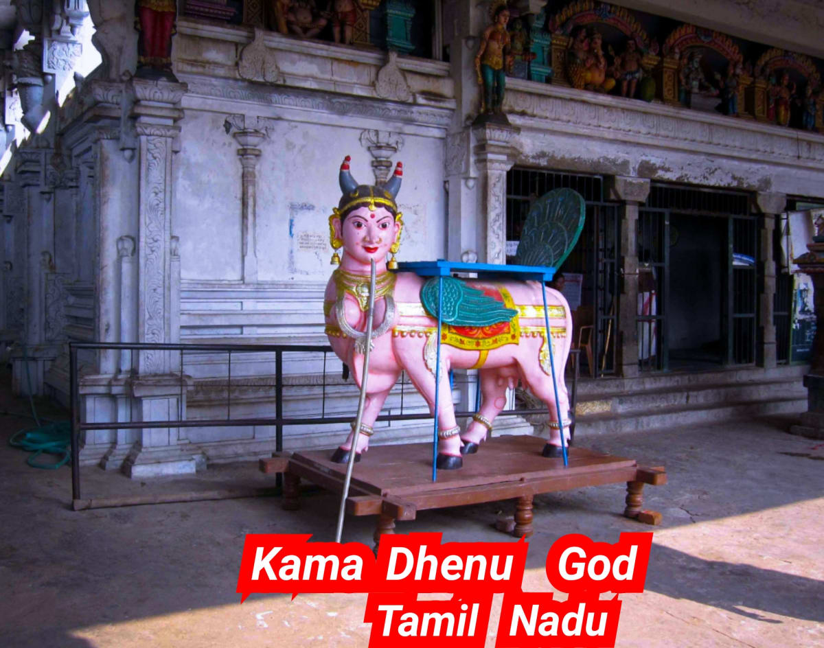 Kamadhenu God Pallar Mallar Shivan Isan Esan Murugan | காமதேனு பசு சிவன் ஈசன் முருகன் கடவுள்கள் பள்ளர் மள்ளர்
