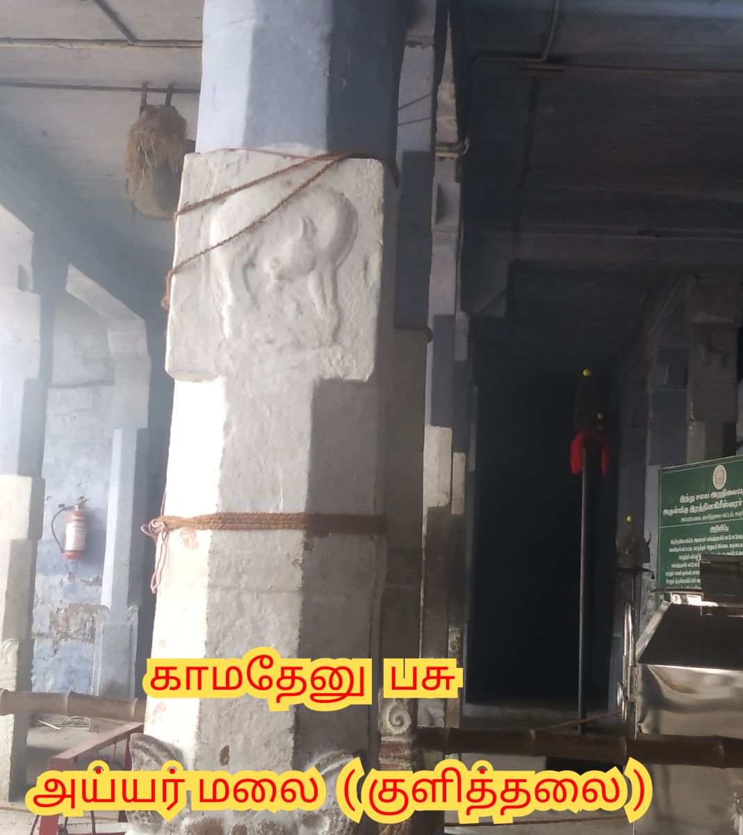 Kamadhenu God Pallar Mallar Shivan Isan Esan Murugan | காமதேனு பசு சிவன் ஈசன் முருகன் கடவுள்கள் பள்ளர் மள்ளர்