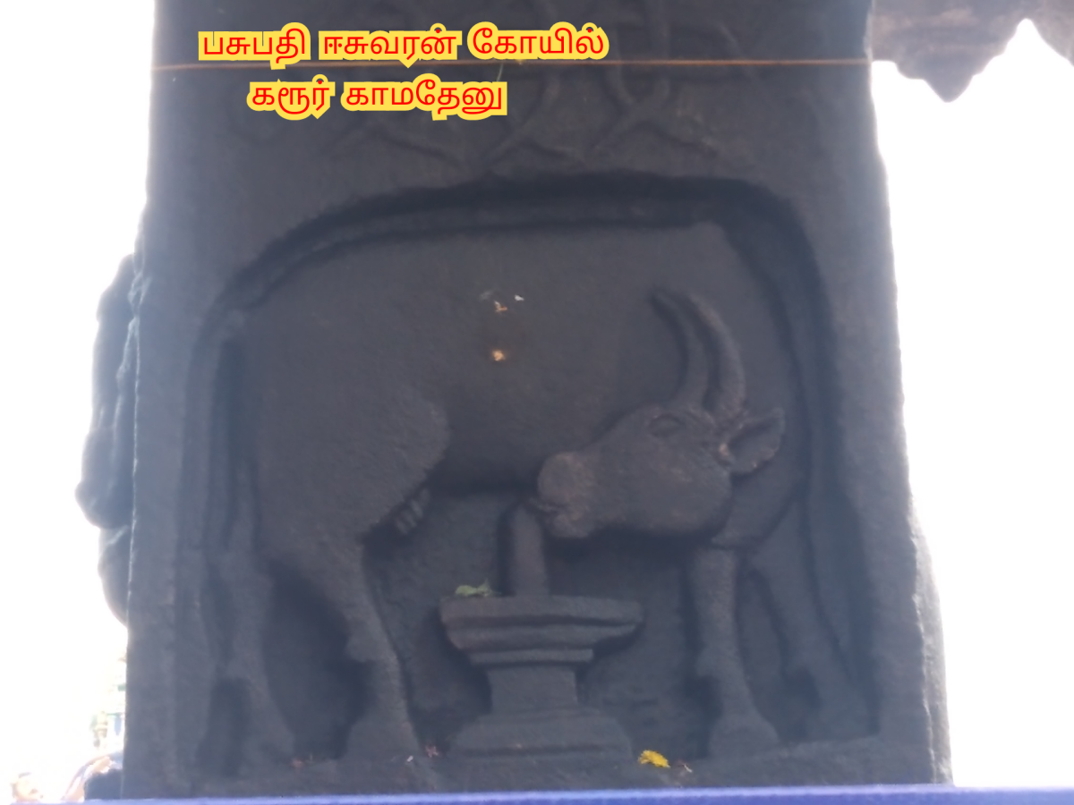 Kamadhenu God Pallar Mallar Shivan Isan Esan Murugan | காமதேனு பசு சிவன் ஈசன் முருகன் கடவுள்கள் பள்ளர் மள்ளர்