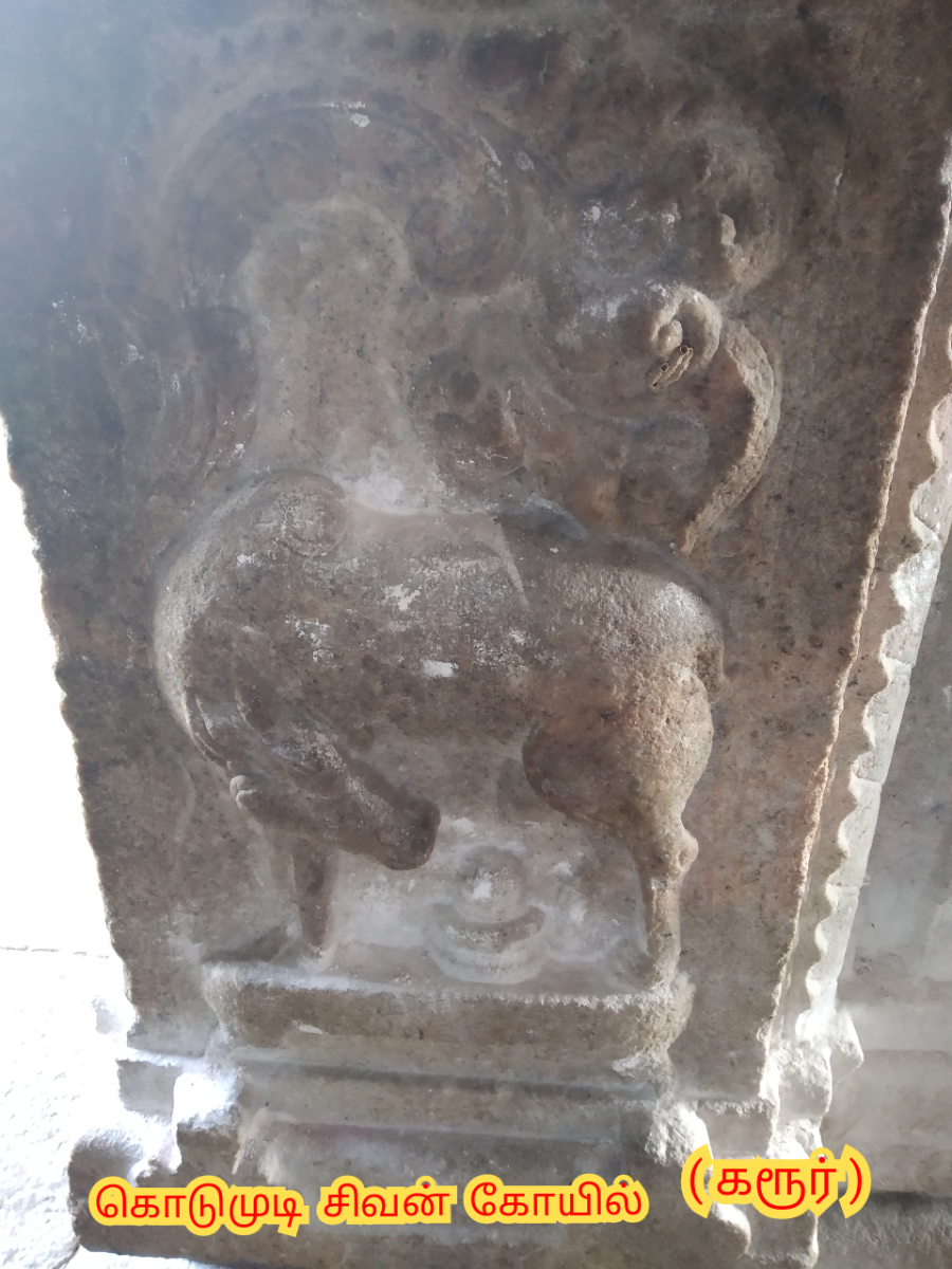 Kamadhenu God Pallar Mallar Shivan Isan Esan Murugan | காமதேனு பசு சிவன் ஈசன் முருகன் கடவுள்கள் பள்ளர் மள்ளர்