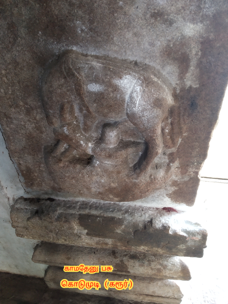 Kamadhenu God Pallar Mallar Shivan Isan Esan Murugan | காமதேனு பசு சிவன் ஈசன் முருகன் கடவுள்கள் பள்ளர் மள்ளர்