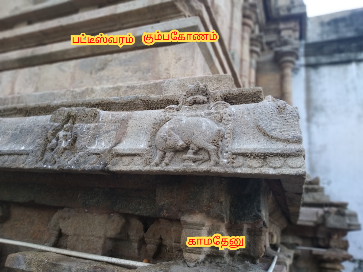 Kamadhenu God Pallar Mallar Shivan Isan Esan Murugan | காமதேனு பசு சிவன் ஈசன் முருகன் கடவுள்கள் பள்ளர் மள்ளர்